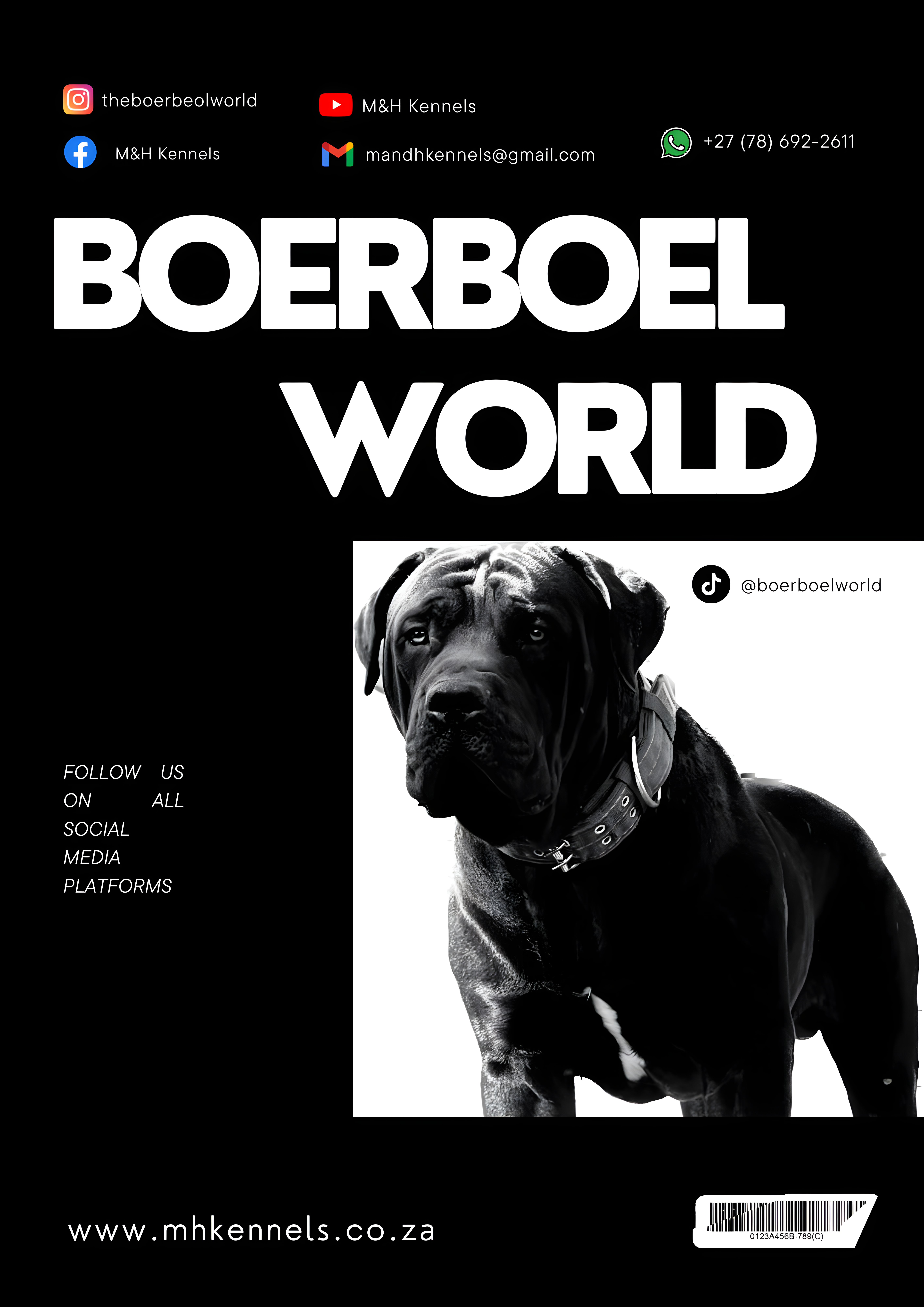 7_upscayl_4x_realesrgan-x4plus