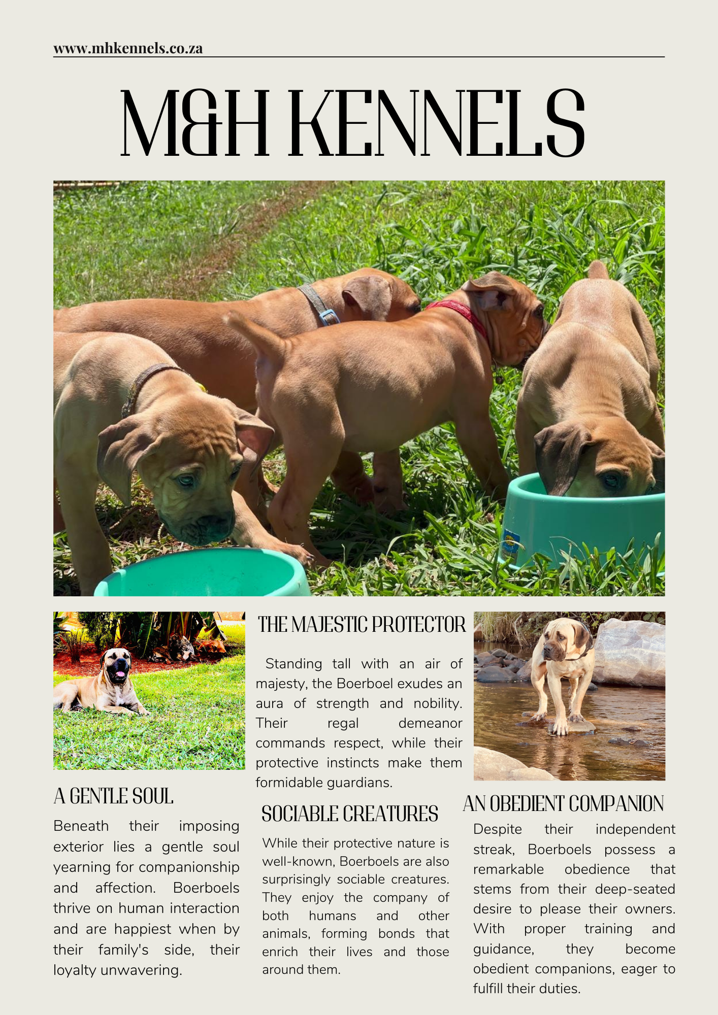 White and Black Modern Business Article Page Document